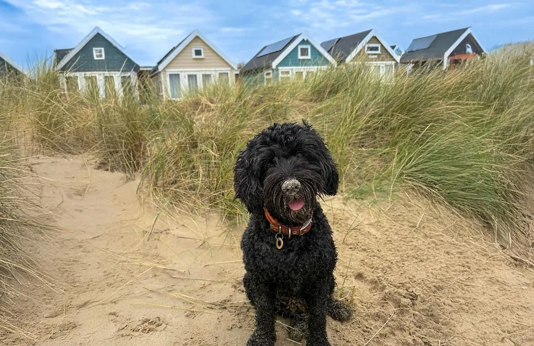 Katrins Nest - Close To The Beach And Independent Eateries On Southbourne Grove-1